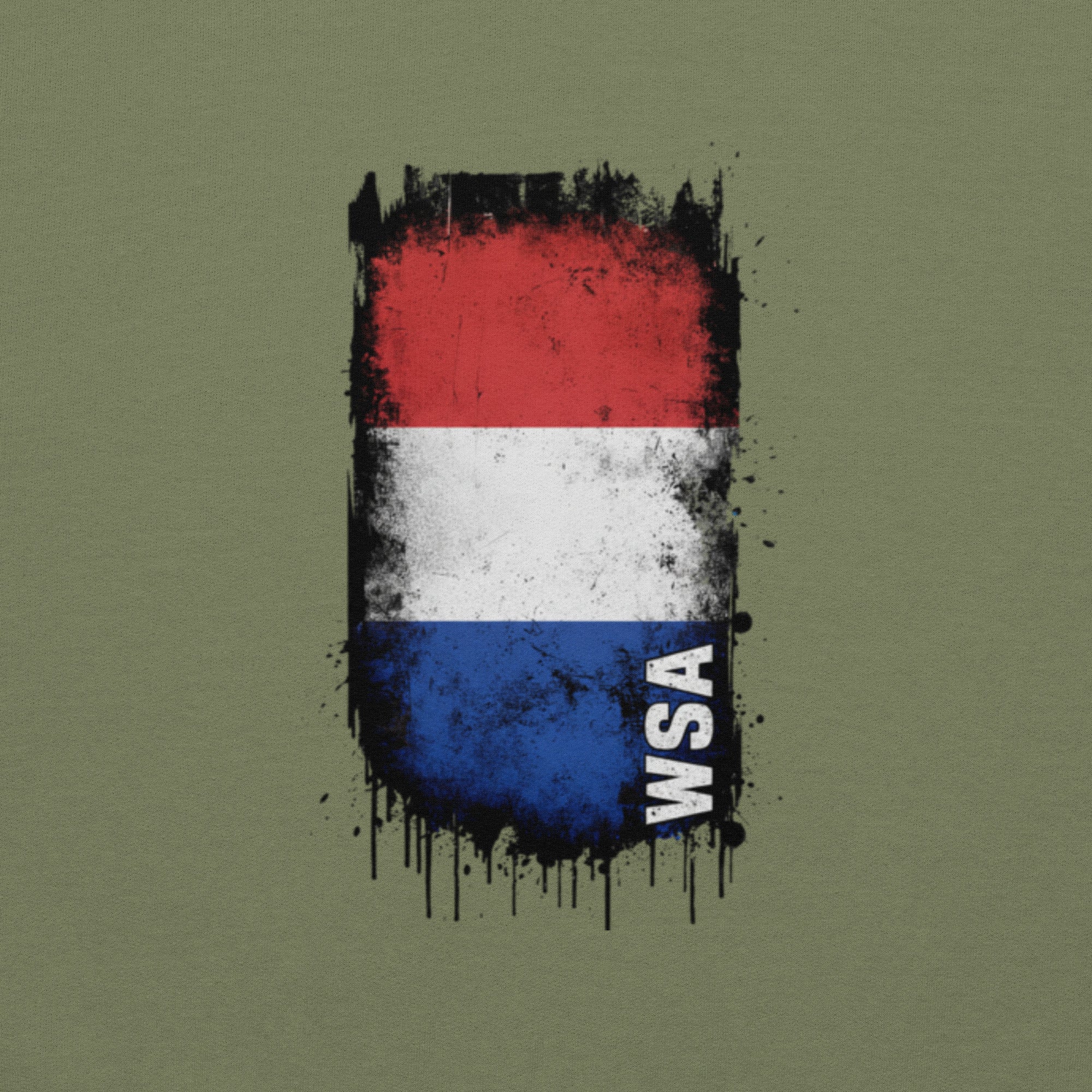 Flag design with red, white, and blue colors on a green background