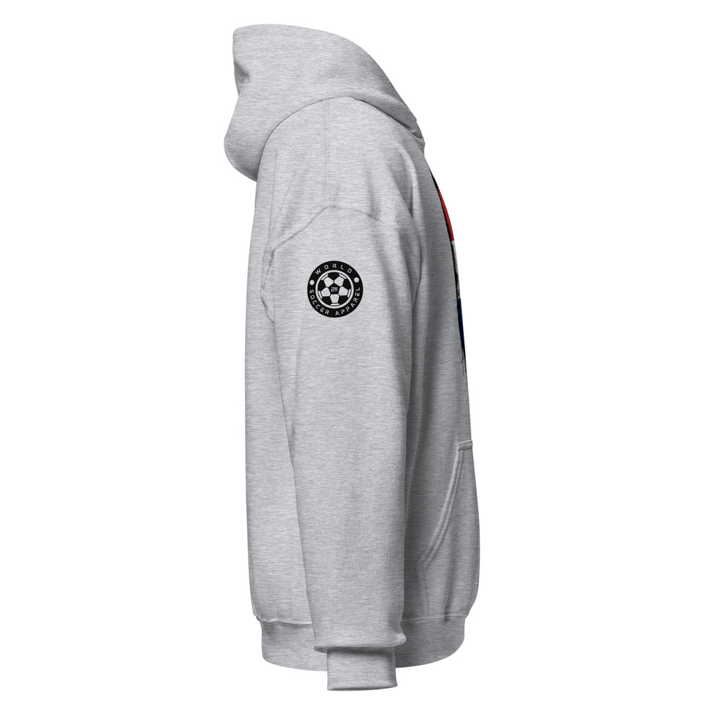 France World Cup 2026 Distressed Flag Hoodie | Unisex